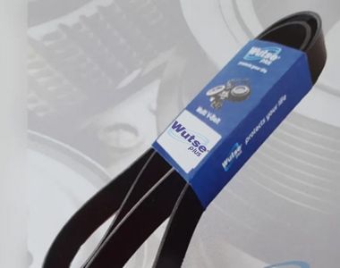 Automotive Belts